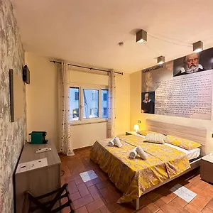 book here
